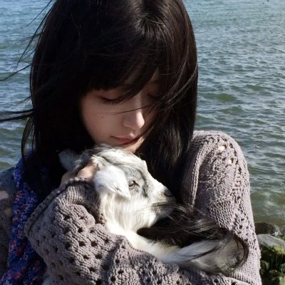 追梦小海豚